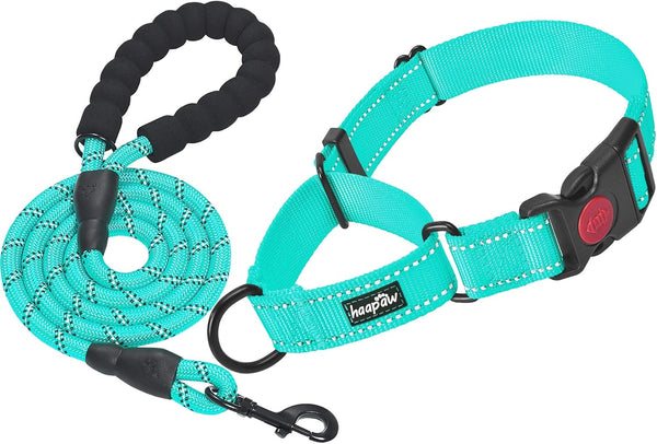 haapaw 2 Packs Martingale Dog Collar - Quick Release Buckle Reflective Training Collars for Small Medium Large Dogs