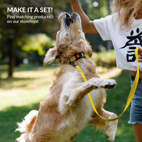 CollarDirect Reflective Dog Collar, Quick Release Buckle, Nylon for Swimming, 14-18 Inch, Yellow