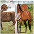 13Pcs Set Horse Grooming Kit for Bathing, Horse-Brush with Mesh Bag, Shower Brushes, Braiding and Curry Comb, Sweat