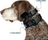 Dog Collar Plastic Clip, Star Wars Darth Vader Utility Belt, Bounding3, Black Grays Reds, 15 to 26 Inches