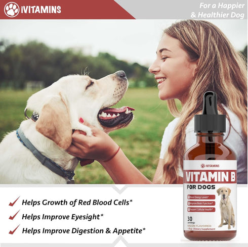 iVitamins B12 B12 B12 Do1 oz: Vitamin B for Dogs | Vitamin B Complex for Dogs | Vitamin for Dogs | Dog Vitamins |