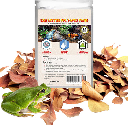 SunGrow Mini Catappa Leaves (50 Pc) - Tannin for Ammonia Removal, Lower pH - Indian Almond Leaves for Aquariums