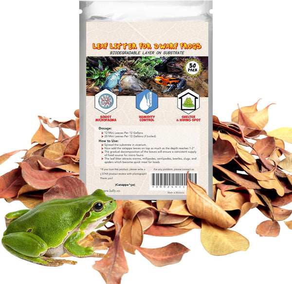 SunGrow Mini Catappa Leaves (50 Pc) - Tannin for Ammonia Removal, Lower pH - Indian Almond Leaves for Aquariums