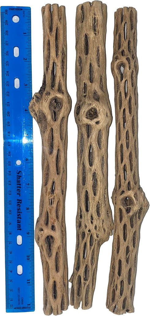 Awesome Aquatic Natural Cholla Wood, 3 Pieces 12” for Shrimp Habitat, Food Treat, Aquarium Decoration
