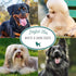 Nature's Specialties Bluing Ultra Concentrated Dog Shampoo (16 oz) - Makes up to 2 Gallons, Natural Choice for Groomers