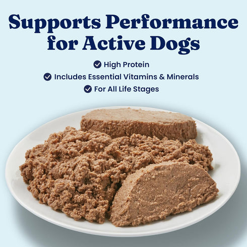 Immune 6ct 13.2oz Solid Gold High Protein Wet Dog Food for Large Dogs & Small Dogs - Soft Grain Free Canned Dog Food