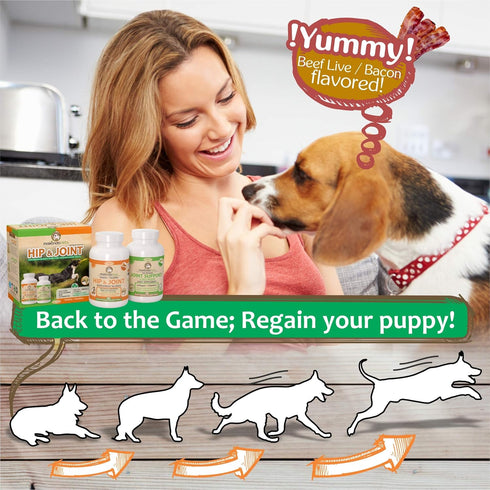 Hip and Joint Supplement for Dogs with Glucosamine, Chondroitin, Turmeric, Collagen, MSM - 120 Tabs