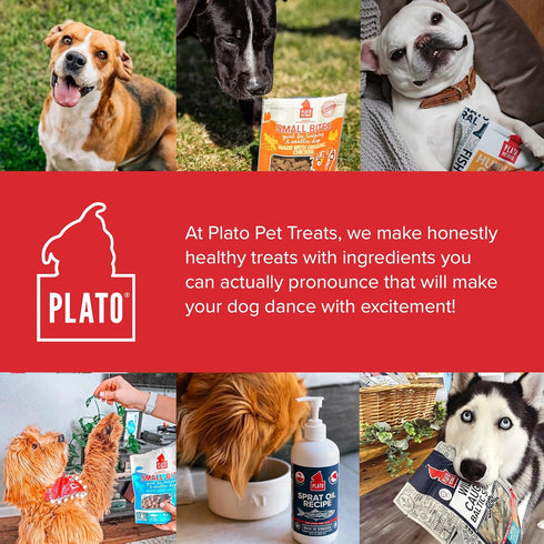 Plato Small Bites Salmon 2.5oz, Natural Dog Treats