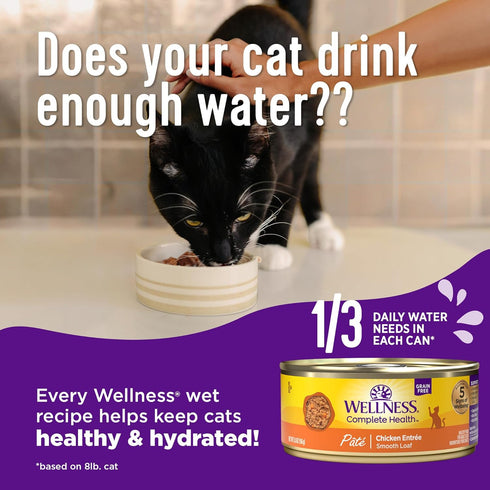 Wellness Complete Health Grain-Free Wet Canned Cat Food, 3-Ounce Can (Pack of 24) - Natural Ingredients, Turkey Dinner