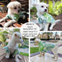 Dog Shirt Hawaiian Clothes, Leaf Printed Lapel Vest Summer Polo T-Shirt for Small Medium Dogs and Cats