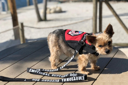 Emotional Support Dog Leash - Identification with or Without an Emotional Support Animal Vest, Includes Five ESA