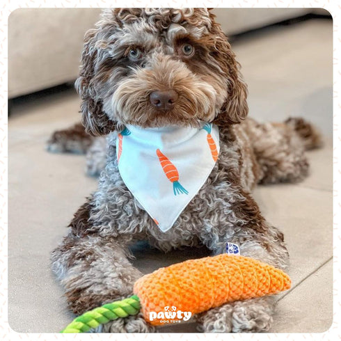 Carrot Tug Rope Dog Toy, Squeaky Gift for Puppy Birthday, Durable Toy for Small to Medium Dogs
