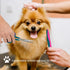 Trimming, (Set 3) Professional Pet Grooming Kit, Stainless Steel Dog & Cat Grooming Shears with Rounded Tip Blades