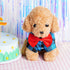 3 Pack Cute Plaid Dog and Cat Shirt, Dog Shirts for Medium Dogs and Cats, Birthday Party and Holiday Photo