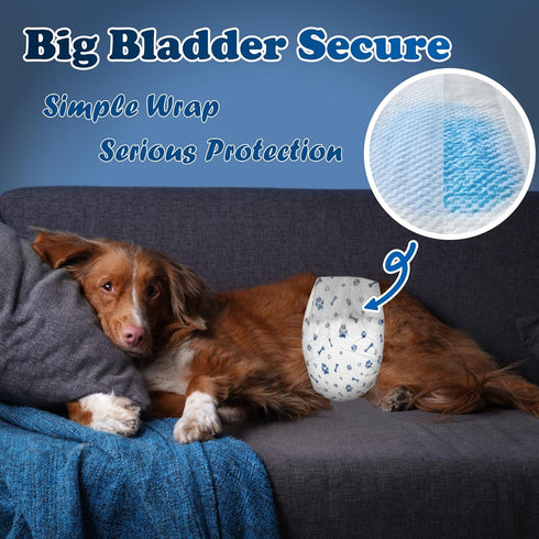 50ct) LeapSheep Disposable Dog Diapers Male, Super Absorbent Male Dog Wraps, Puppy Diapers for Doggie Training