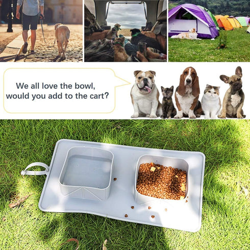 Portable Pet Double Bowl with Carry Case, Foldable Anti-Overflow Silicone Feeding Bowl for Cat or Dog