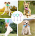 Puppy Teething Toys with Cotton Ropes, 3 Pcs Rubber Chew Toy Rings for Small/Medium Dogs