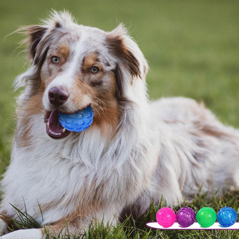 3'' Squeaky Dog Toy Balls for Large Medium Breeds, Indestructible Dog Balls for Fetching, 4 PCS Red+Purple+Green+Blue