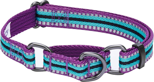 Blueberry Pet 3M Reflective Multi-Colored Stripe Martingale Dog Collar, Small, Violet and River Blue, Heavy Duty