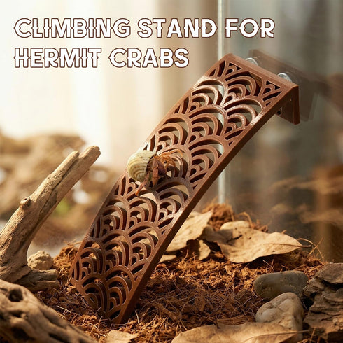 TYZEMKO Hermit Crab Climbing Ladder Ramp - Enclosure Enrichment Decor & Exercise Toy | Habitat Decoration, Accessories