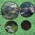 Mipcase Aquarium Floating Plant Rings - 5pcs Fish Feeding Ring for Fish Tank