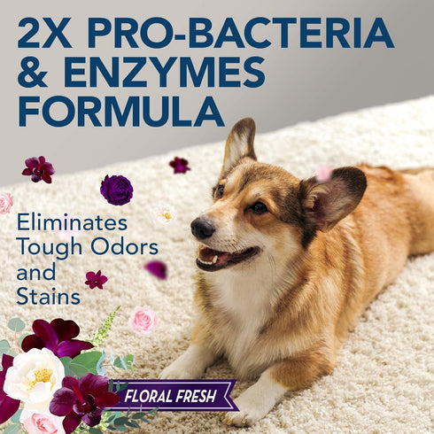 Simple Solution Pet Stain and Odor Remover | Enzymatic Cleaner with 2X Pro-Bacteria Power