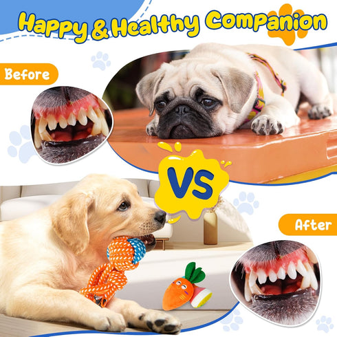 Puppy Toys 23 Pack, Interactive Teething Toys with Squeaky Plush, Rope Toys, and Treat Balls for Small Dogs