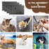 Chumia 4 Pcs Dog Towels - Microfiber Absorbent Towel for Drying Dogs, Quick Drying Paw Towel for Medium Dogs (Gray, 24
