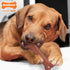Nylabone Original Bone Power Chew Toy for Dogs, Medium 2 Pack - Durable for Aggressive Chewers, Bacon & Chicken Flavor