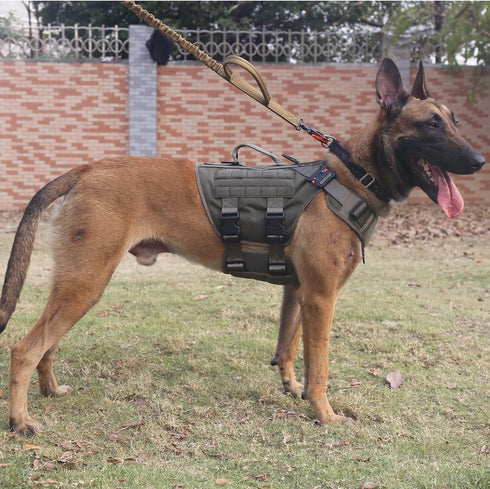 ICEFANG GN3 Tactical Dog Harness with 6X Buckle, Molle Vest with Handle, XL Ranger Green