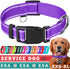 TECEUM Reflective Pet Collar, Purple, XS, Basic Nylon Collar, Quick Release Buckle for Dogs and Cats