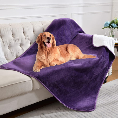 Waterproof Blanket for Bed Couch Sofa, Reversible Sherpa Fleece Pet Blanket, Dark Purple, 60x80 inches