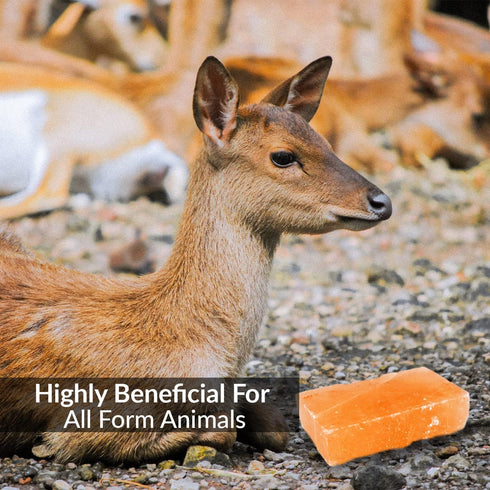 10 2 Counts Licking Salt for Deer Block - Animal Licking Mineral Salt Block, Natural Feed Salt Rock for Horse, Deer