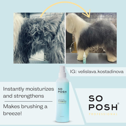 So Posh Look at Me Dog Detangler Spray, Bi-Phase Brushing Spray, 8.4 Oz