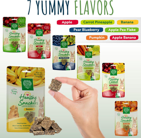 Small Pet Select Healthy Snackers - Banana