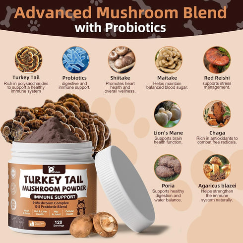 Immune 2 Pack Mushroom Supplement with Probiotics for Dogs & Cats, Turkey Tail Mushroom for Pets - Mushroom Powder