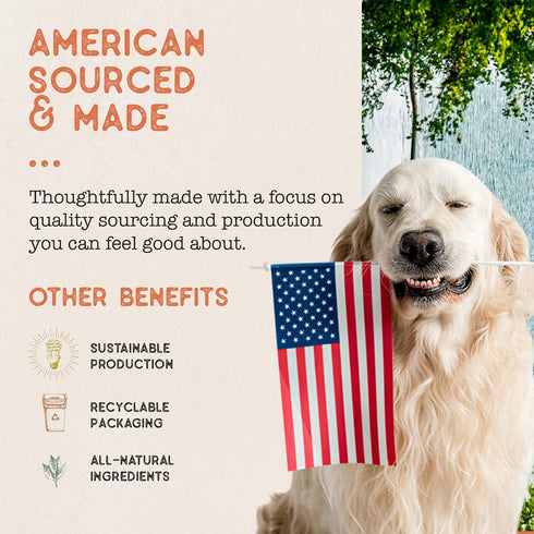 10oz Dog Treat Naturals Superfood Sticks, Beef & Pumpkin, Bag | Dog Chew Sticks | All-Natural, Pet Training Treats |