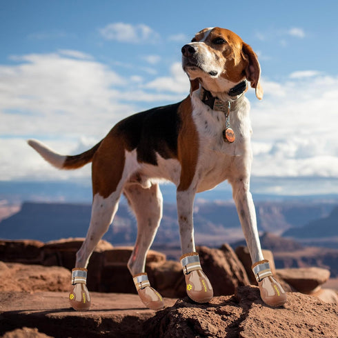 QUMY Dog Shoes for Large Dogs, Medium Dog Boots & Paw Protectors, Waterproof Khaki, Anti-Slip Sole for Winter & Summer