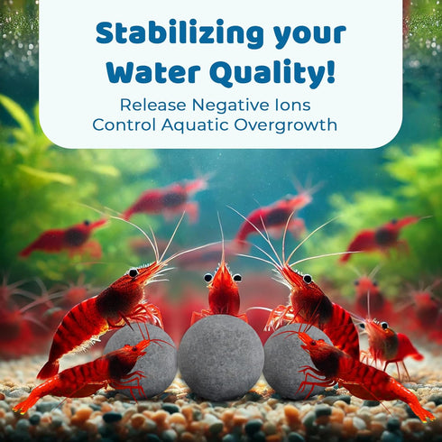 SunGrow Shrimp Balls, Calcium-Rich for Successful Shedding, Vibrance, Cool Décor with Wellness Benefits