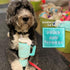 Haute Diggity Dog Snuggly Cup, Plush Designer Dog Toy with Interactive Squeaker, Machine-Washable for All Breeds