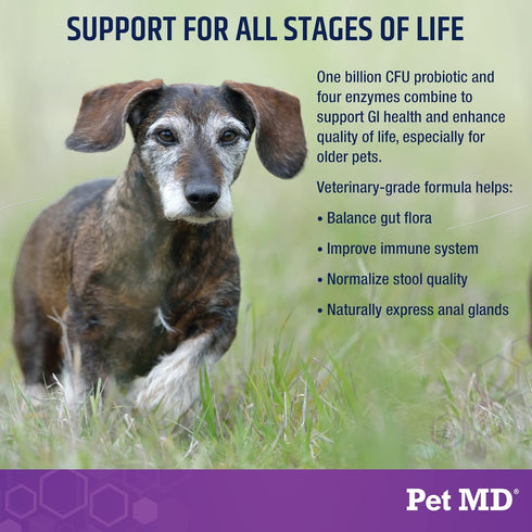 Pet MD Probiotics & Enzymes for Dogs, Digestive Aid Chews for Gut Health, 60 ct for Upset Stomach, Diarrhea