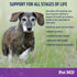 Pet MD Probiotics & Enzymes for Dogs, Digestive Aid Chews for Gut Health, 60 ct for Upset Stomach, Diarrhea