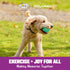 4.5 Gnawsome Spiky Squeaker Football Dog Toy - Large, Cleans Teeth and Promotes Good Dental and Gum Health for Your