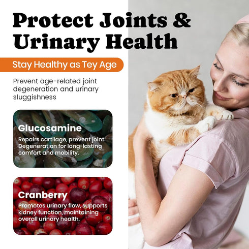 12 5 Immune, 450 Cat Vitamin Treats with L-Lysine & Taurine Essential Vitamins & Minerals, Cat Multivitamin Supplement