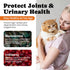 12 5 Immune, 450 Cat Vitamin Treats with L-Lysine & Taurine Essential Vitamins & Minerals, Cat Multivitamin Supplement