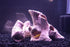 ALEGI Aquarium Decoration Rock Caves, Safe Hideaway for Shrimp, Cichlid, Betta Fish (TreeStumpL+S)