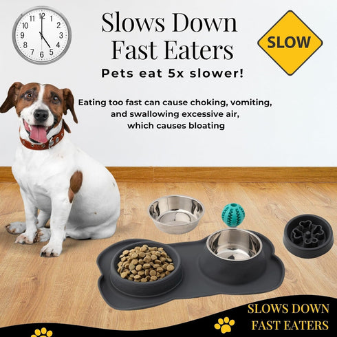 Slow Feeder Dog Bowls, No-Spill Non-Skid Silicone Mat, Stainless Steel Water Bowl for Dogs, Canine Karma