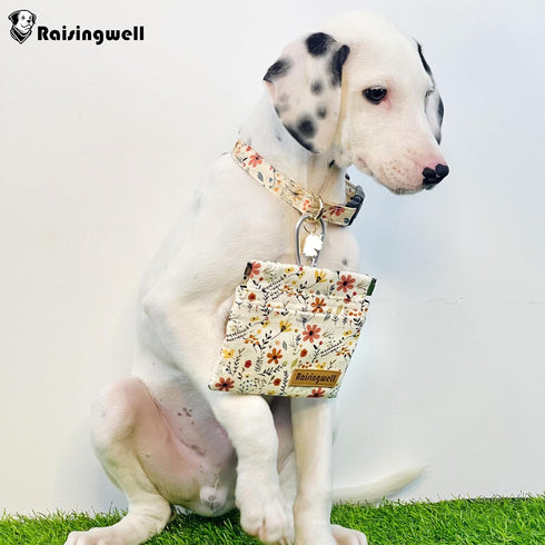 Raisingwell Dog Treat Pouch, Small Cotton Pocket Sized Training Holder, Hand Free Walking Funny Bag with Carabiner