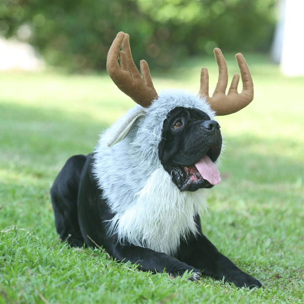 Onmygogo Funny Dog Halloween Costumes, Cute Furry Pet Wig for Halloween Christmas, Moose, Size M