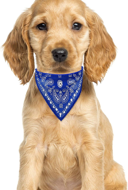 Crystal Studded Blue Bandana Pet Accessory - Hypoallergenic Polyester for Small Dogs, Cute Accessories